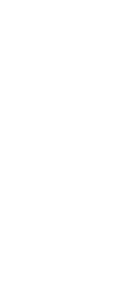 Half globe gradient image
